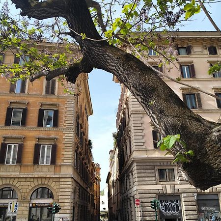 Vatican Near Sweet Home Terrace Rome Buitenkant foto